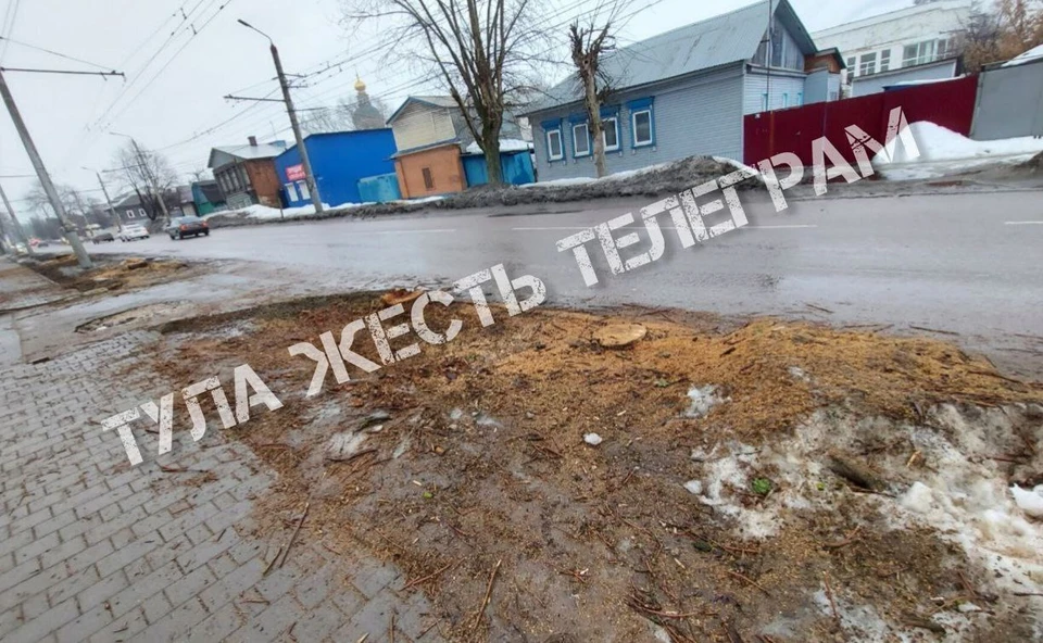 На улице Луначарского в Туле вместо спиленных высадят новые деревья. Фото: ТГ-канал «Тула. Жесть».