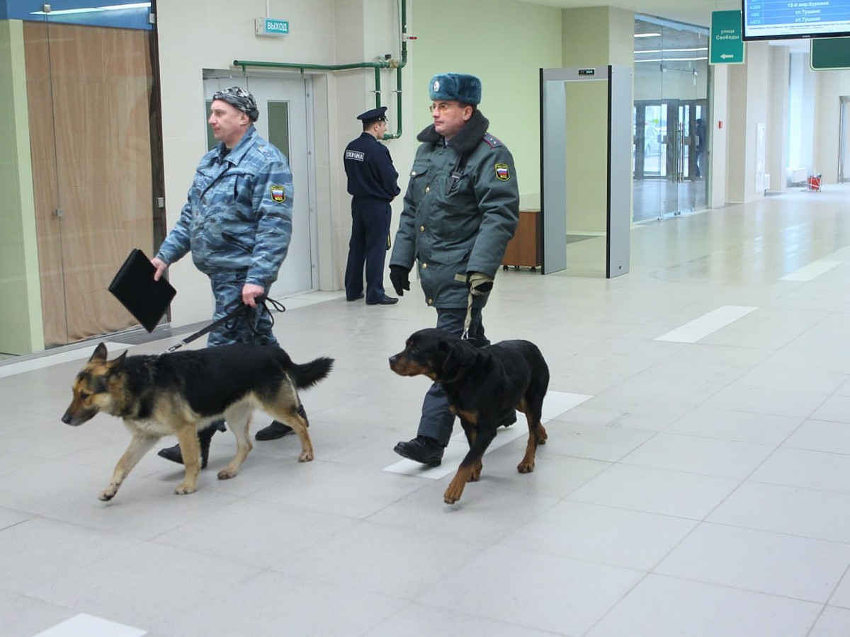 Посетителей ТЦ «Гагаринский» эвакуировали в Нижнем Новгороде - KP.RU