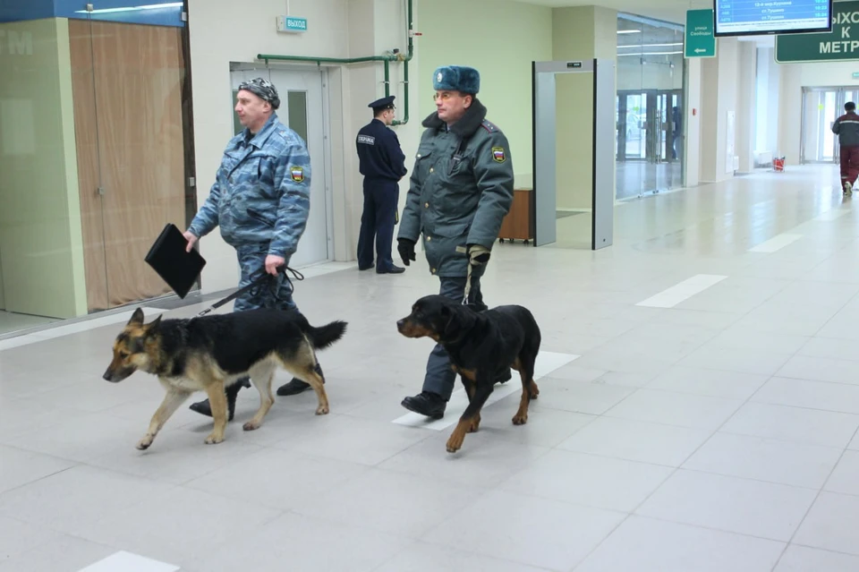 Посетителей ТЦ «Гагаринский» эвакуировали в Нижнем Новгороде