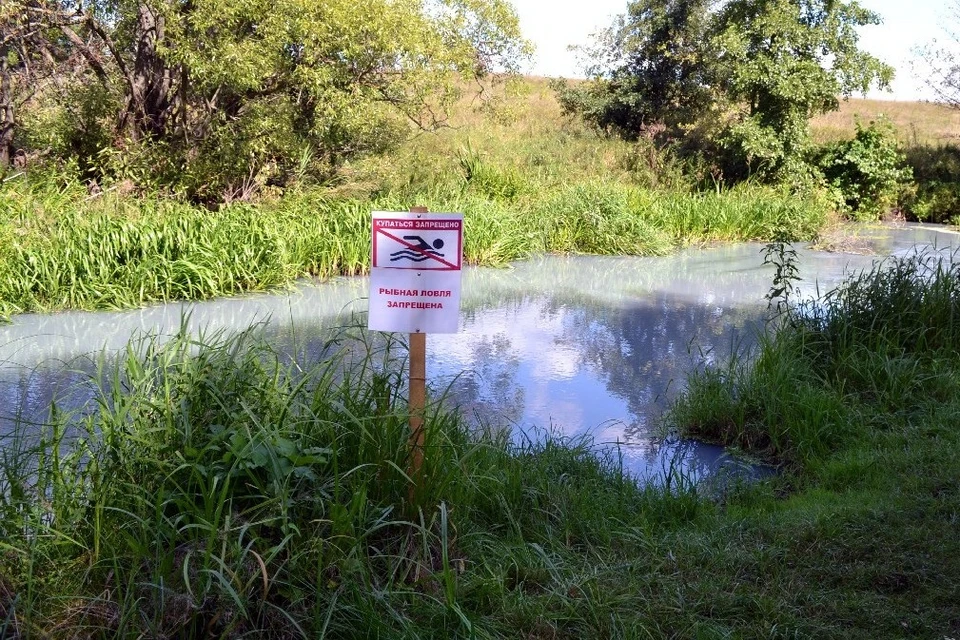 Реки Амшанка и Кердь в августе 2018-го помутнели и начали издавать неприятный химический запах. Стала массово гибнуть рыба.