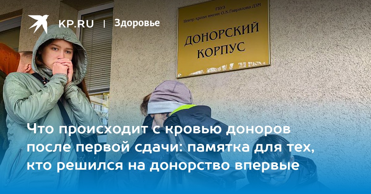 Что нужно сдавать чтобы быть. Что нужно сдавать чтобы быть. Какие предметы нужно сдавать. Что нужно сдавать чтобы быть. Какие предметы надо сдавать чтобы поступить.