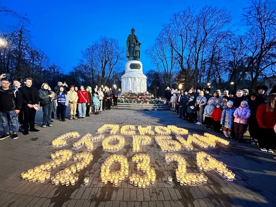 Фото: ресурсный центр добровольчества Псковской области