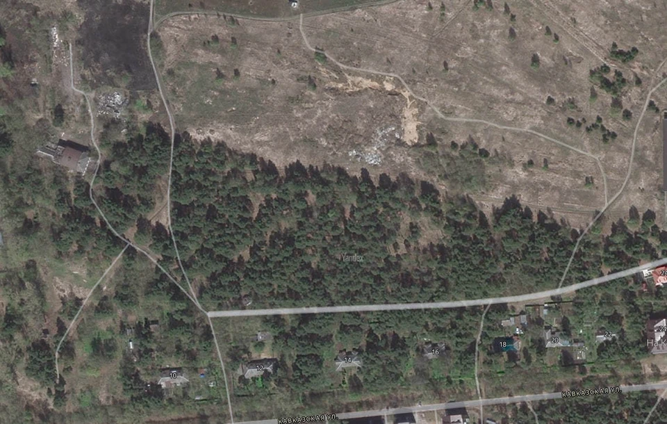 В администрации заверили, что планов по вырубке нет, и рекреационная зона будет сохранена. Фото: Яндекс Карты