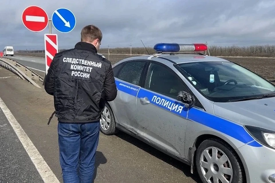 Водитель, сбивший насмерть сотрудника ДПС и остановленного им водителя, заключен под стражу. Фото: СУ СКР по Ставрополью