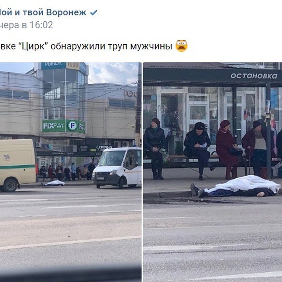 В центре Воронежа на остановке обнаружили труп мужчины - KP.RU