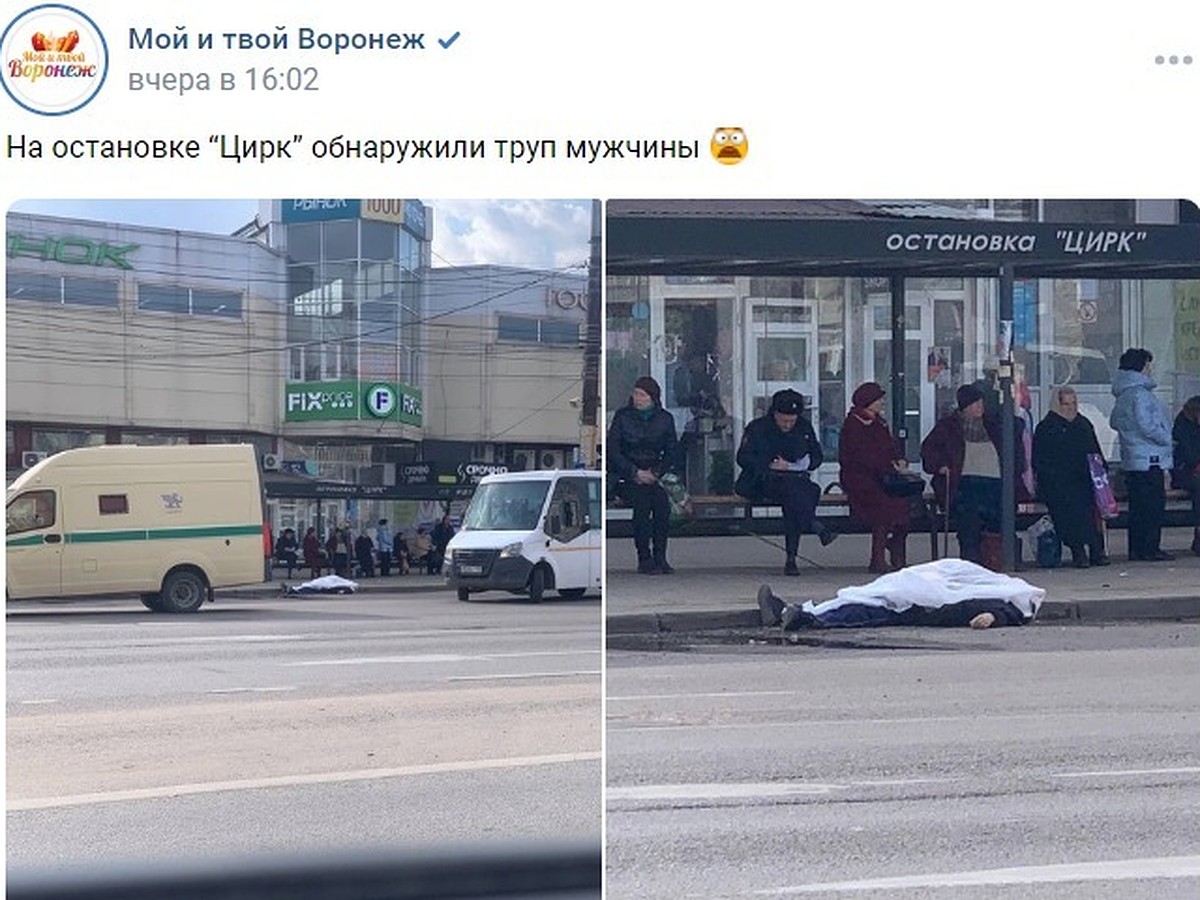 В центре Воронежа на остановке обнаружили труп мужчины - KP.RU