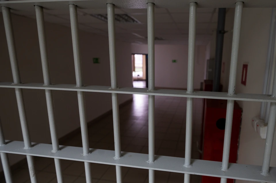 Художника Конашенка отправили в СИЗО по обвинению в оправдании терроризма.