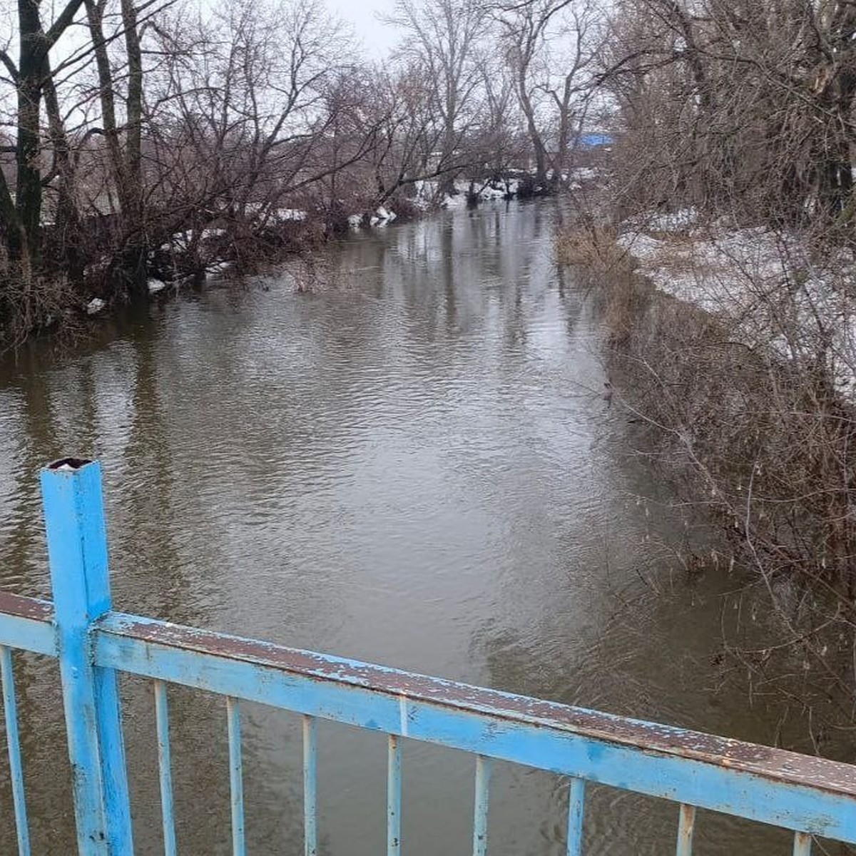 Талые воды подтопили 84 жилых дома: в администрации Оренбурга рассказали о  ситуации с паводком в городе - KP.RU