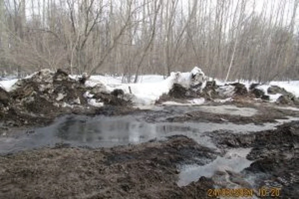На почве зафиксированы пятна темного цвета со специфическим запахом нефтепродукта. Фото: Россельхознадзор Оренбургской области