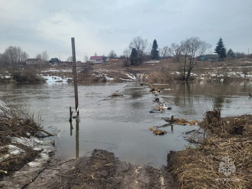 В Тульской области подтопило пятый по счету мост — в Одоевском районе