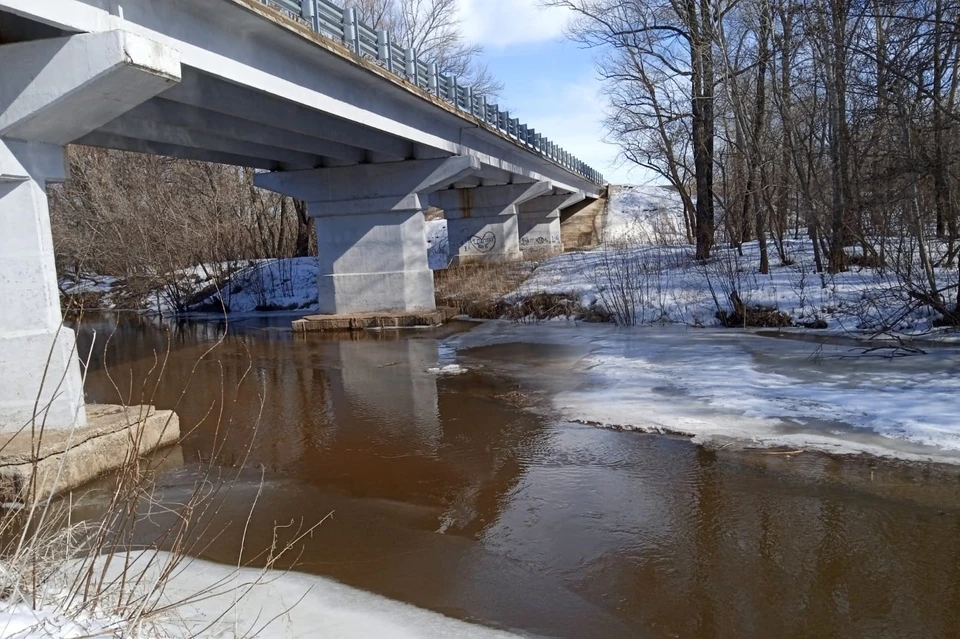 По данным на 12 часов 1 апреля 2024 года в 26 районах и городских округах области закрыто 36 мостов.