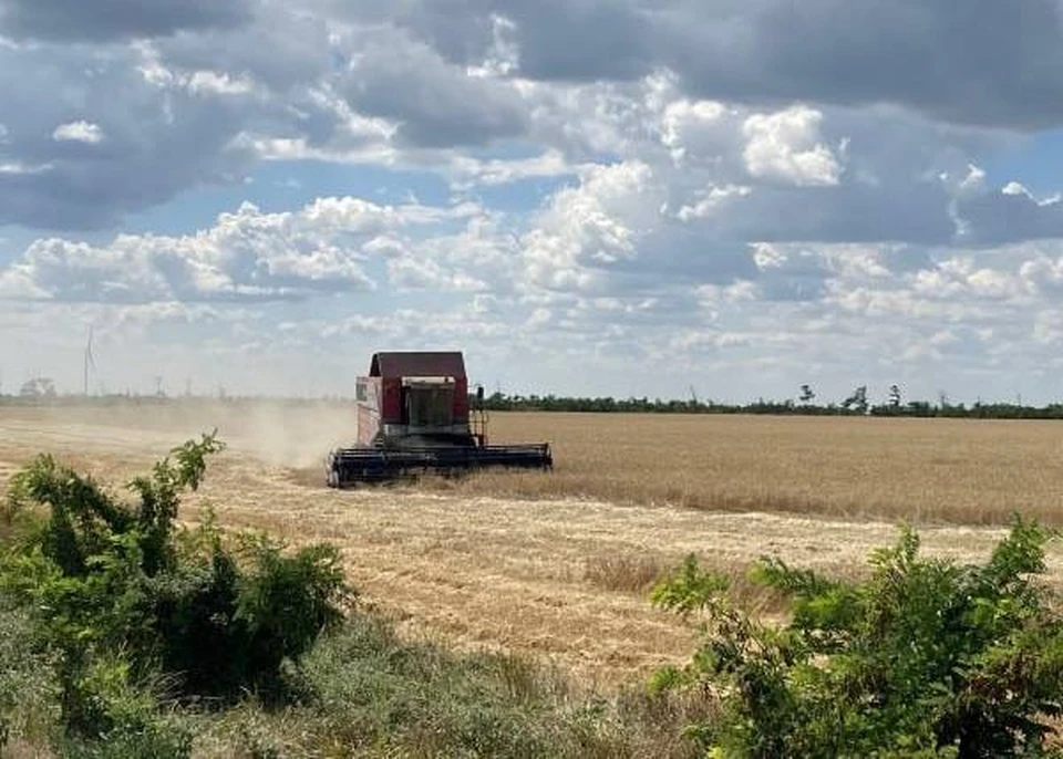 Аграрии Херсонской области уже засеяли 50 тысяч гектаров полей
