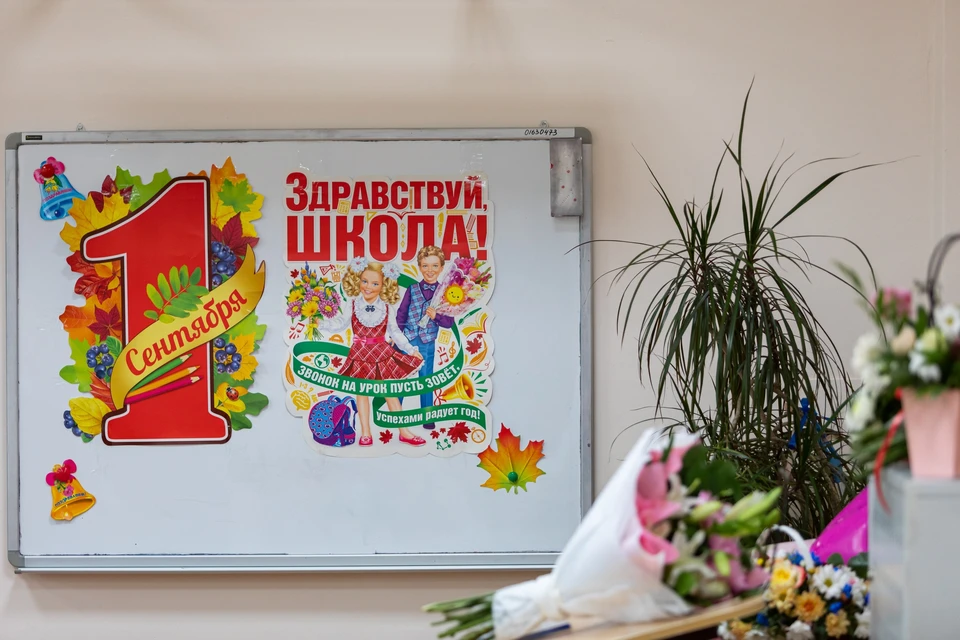 За сутки в Красноярском крае родители записали в первый класс 9 тысяч детей