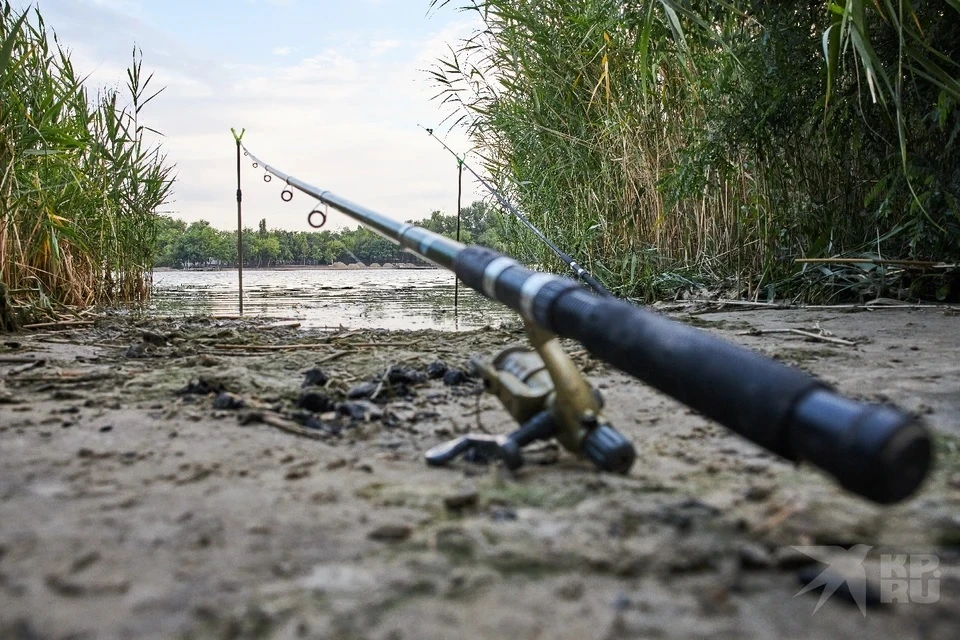 Где запрещено рыбачить в Рязанской области в 2024 году с 1 апреля.