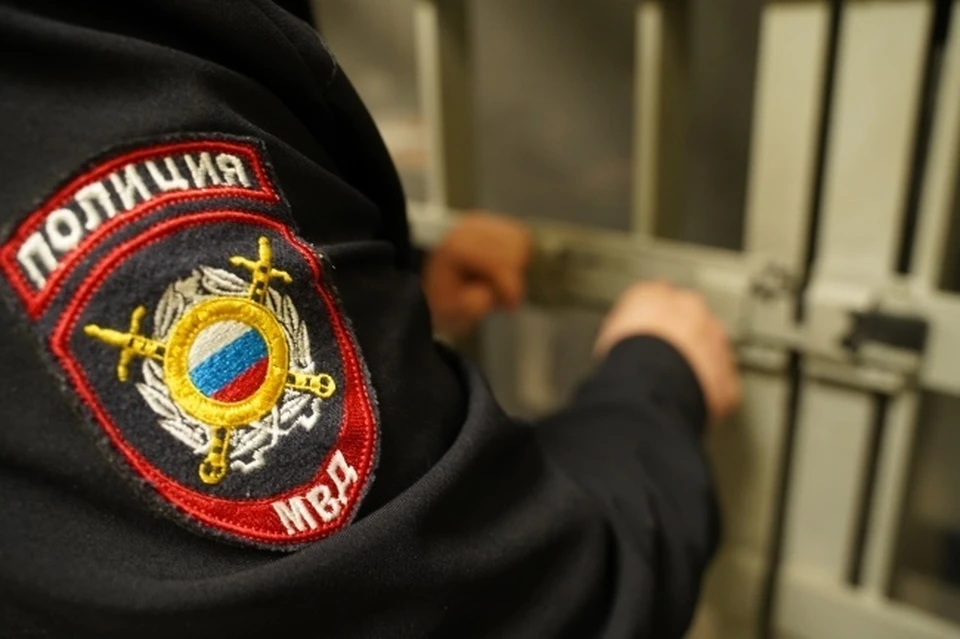 В Сыктывдинском районе задержали курьера мошенников, обокравшего пенсионерку.