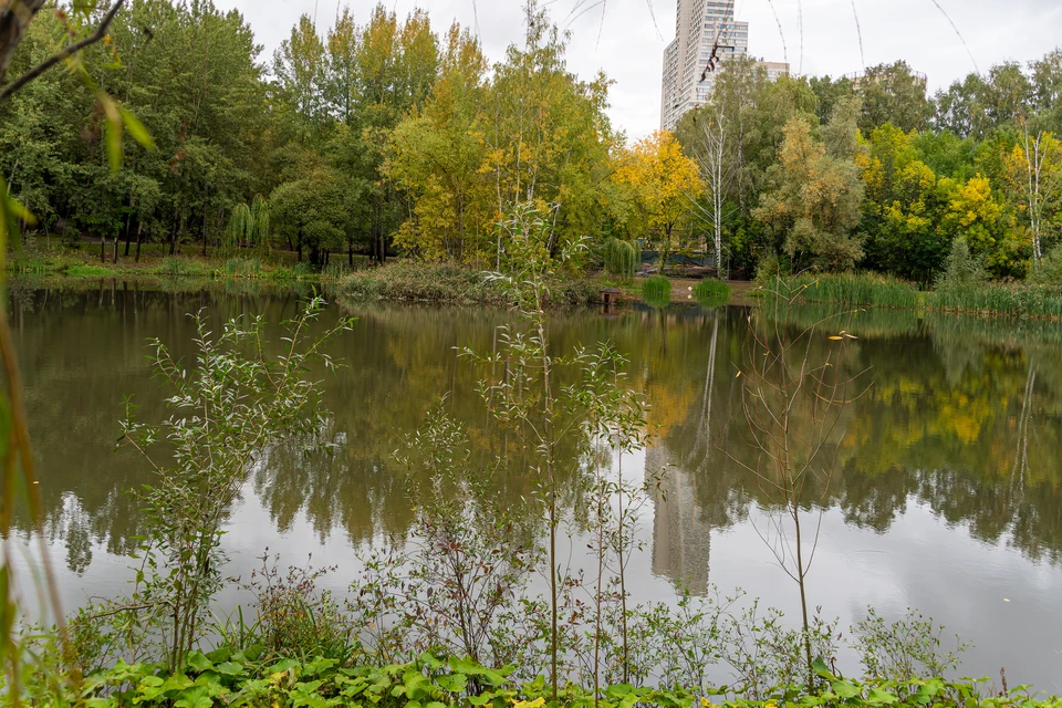 В Ульяновской области расчистят три пруда и три реки