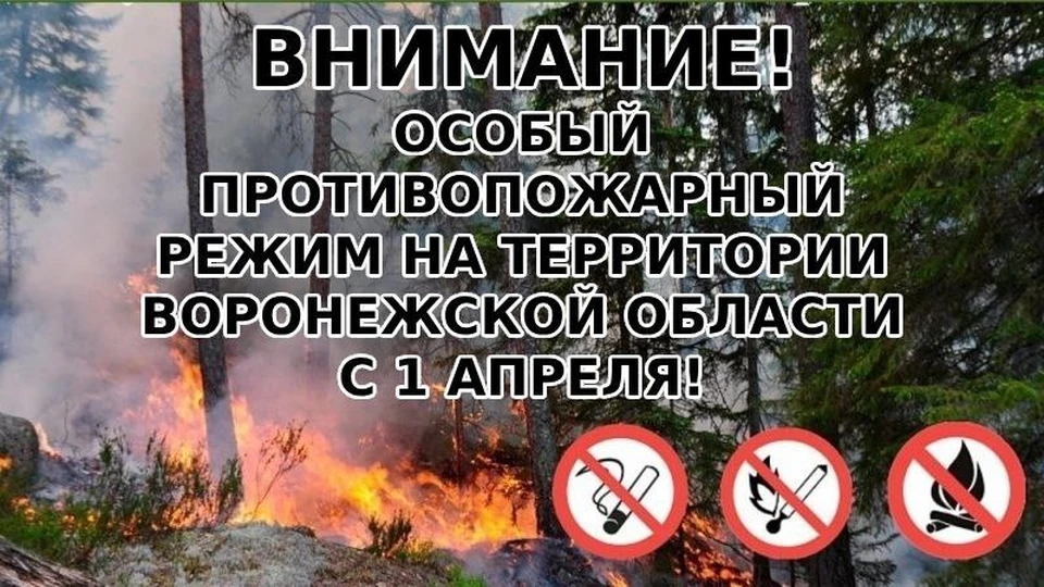 С 1 апреля на территории Воронежской области действует противопожарный режим. Фото пресс-службы ГУ МЧС РФ по региону.