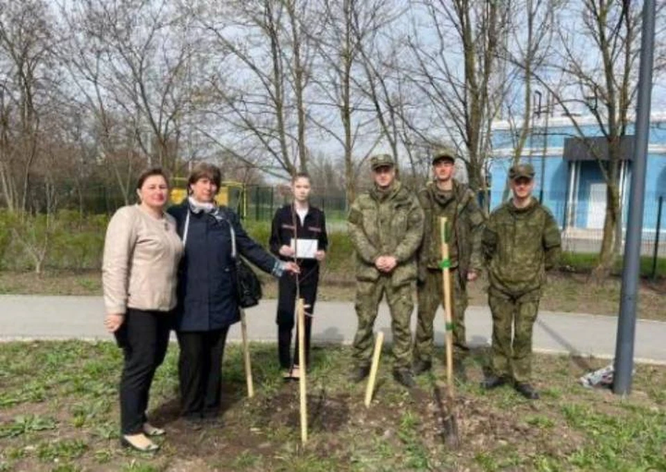 В парке в Таганроге высадили 30 кленов. Фото: пресс-служба администрации Таганрога