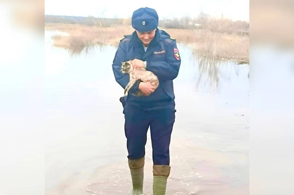 Полицейские не оставляют без внимания и домашних питомцев.