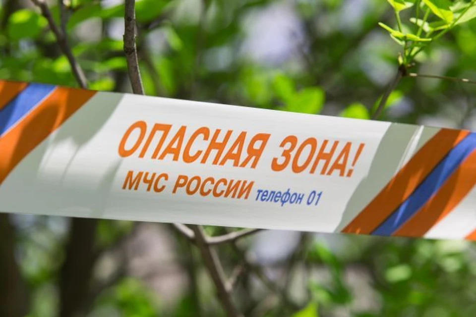 Волгоградцев просят не ходить в лес в жаркие дни.