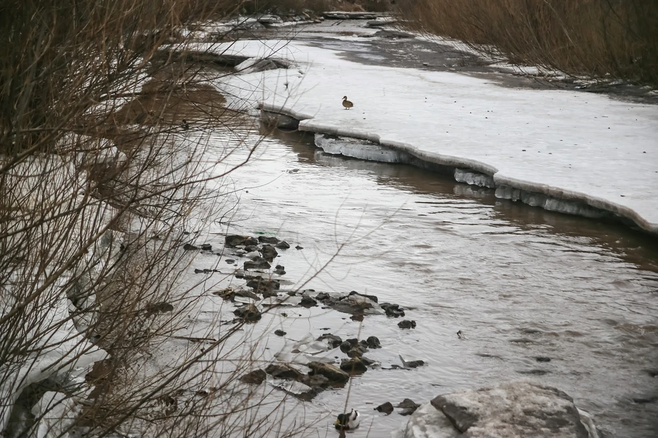 На юге Красноярского края в реке обнаружили тело мужчины