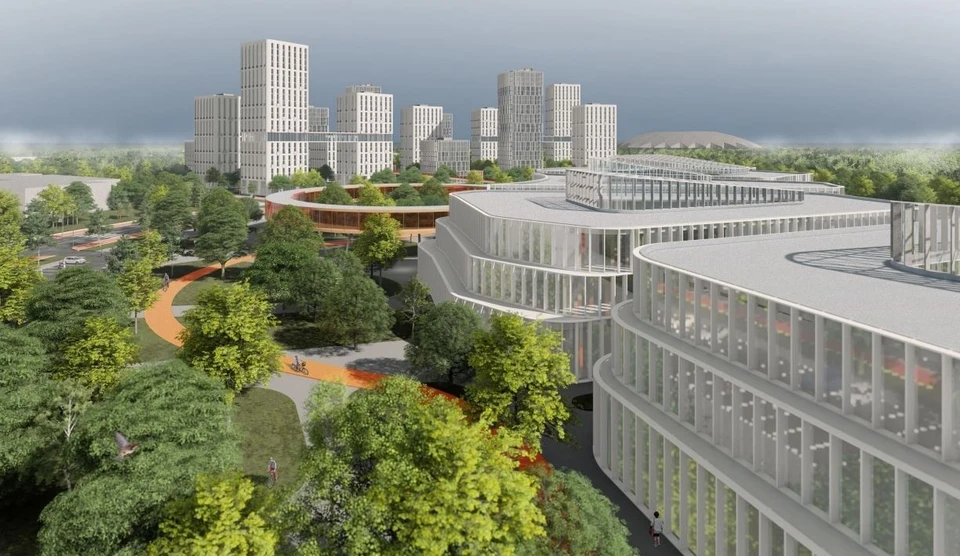 На территории планируют построить школу и детский сад