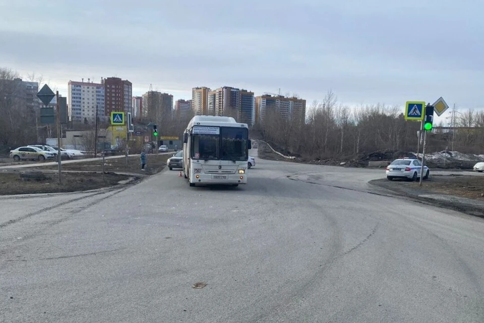 В Новосибирске водитель автобуса сбил 80-летнюю женщину на пешеходном переходе. Фото: ГИБДД по Новосибирску.