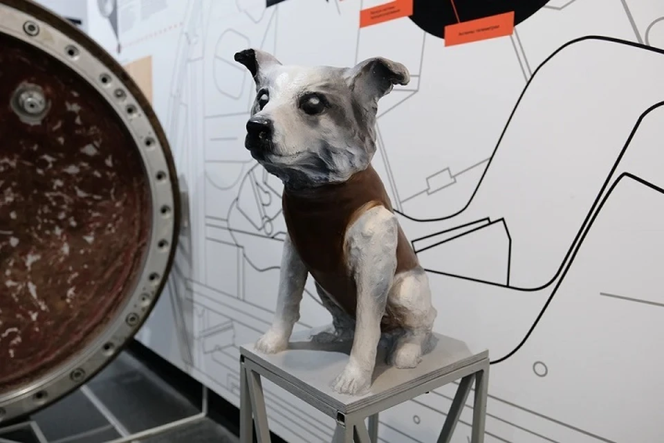 Макет собачки Звездочки стоит в музее в Чайковском.