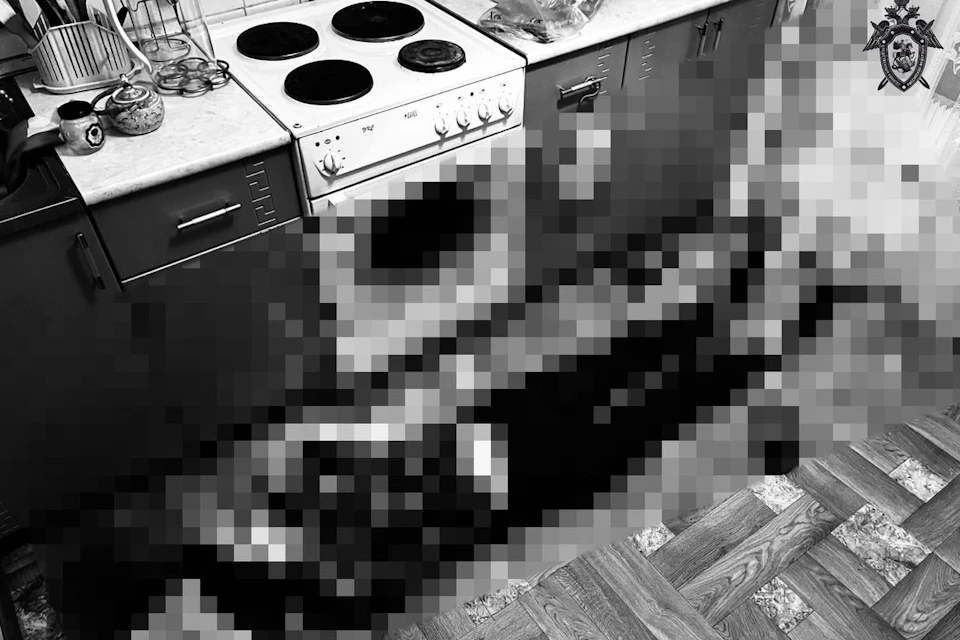 Погибшая получила удар ножом в живот