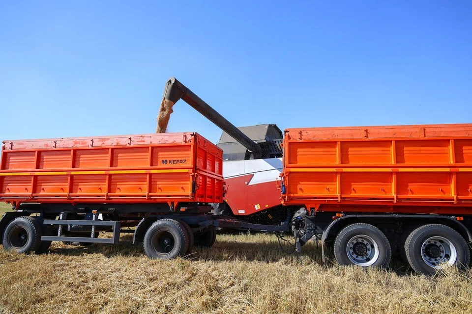 Новосибирская область увеличила поставки зерна в Монголию и Китай.