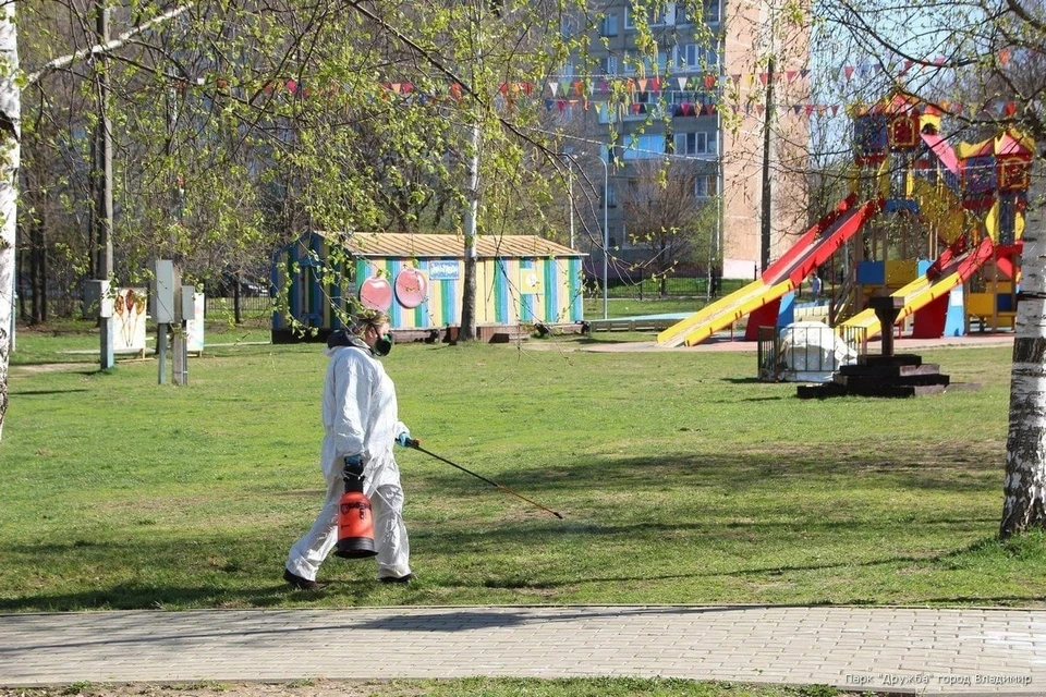 фото со страницы парка "Дружба" в ВКонтакте