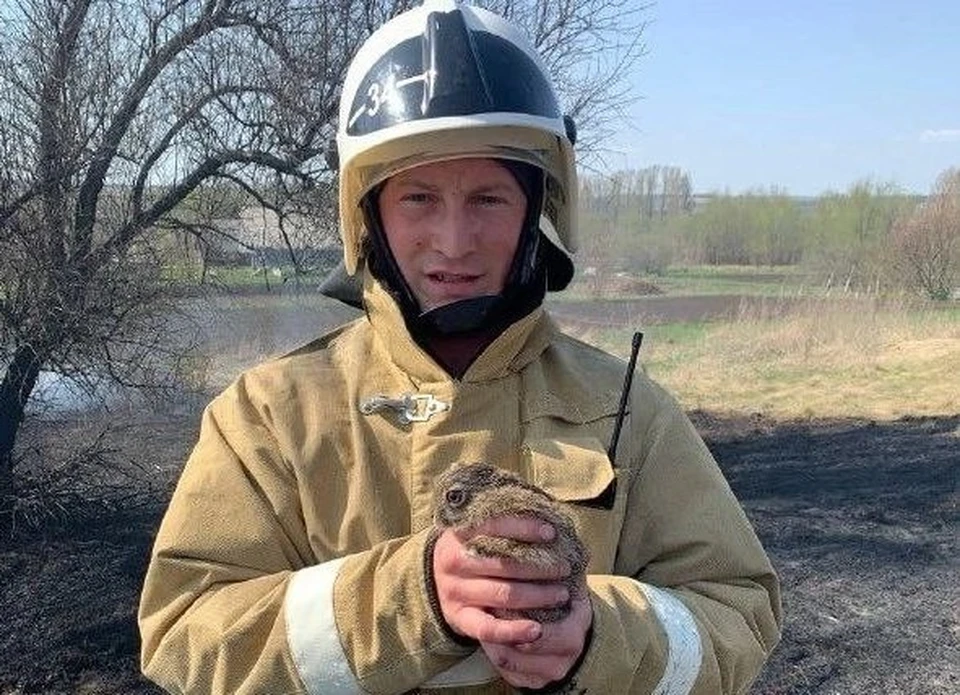 Фото пресс-службы ГУ МЧС России по Белгородской области.