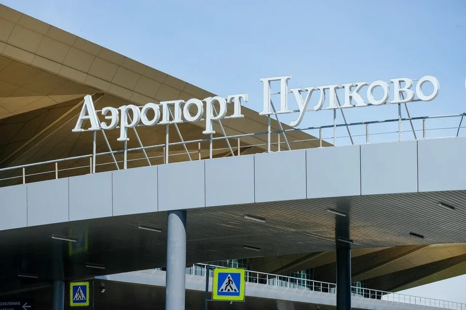 Пьяный мужчина попытался пробраться в аэропорт Пулково и повис на заборе.