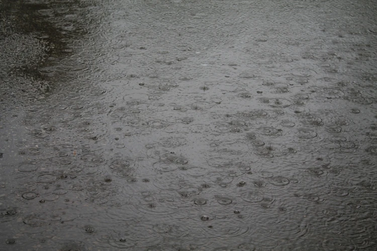 Синоптики пообещали в Коми дожди