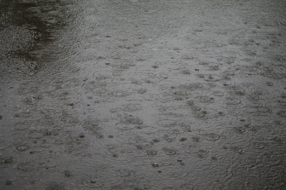 Синоптики пообещали в Коми дожди.
