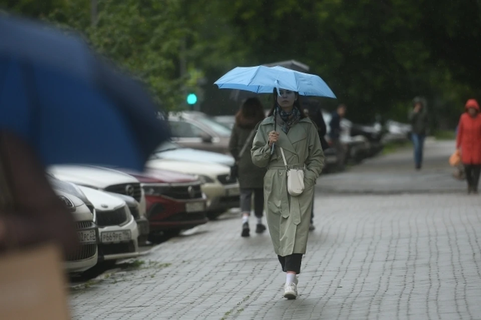 Стало известно, что 18 апреля в Смоленске будет ветрено и дождливо