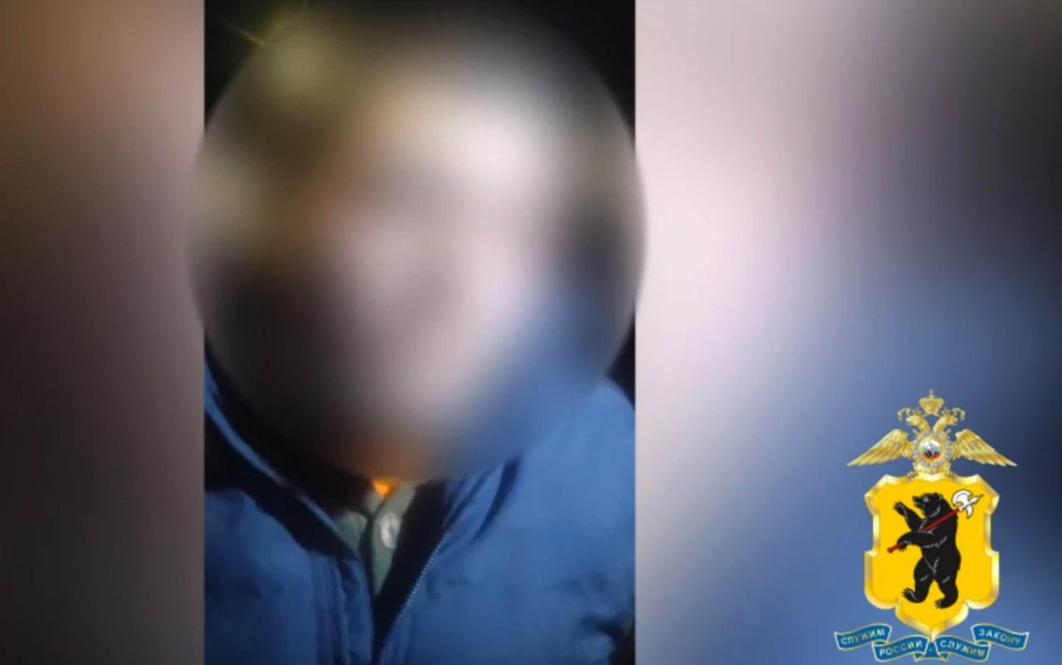 Сотрудники полиции задержали нападавших. Фото: ГУ МВД по Ярославской области