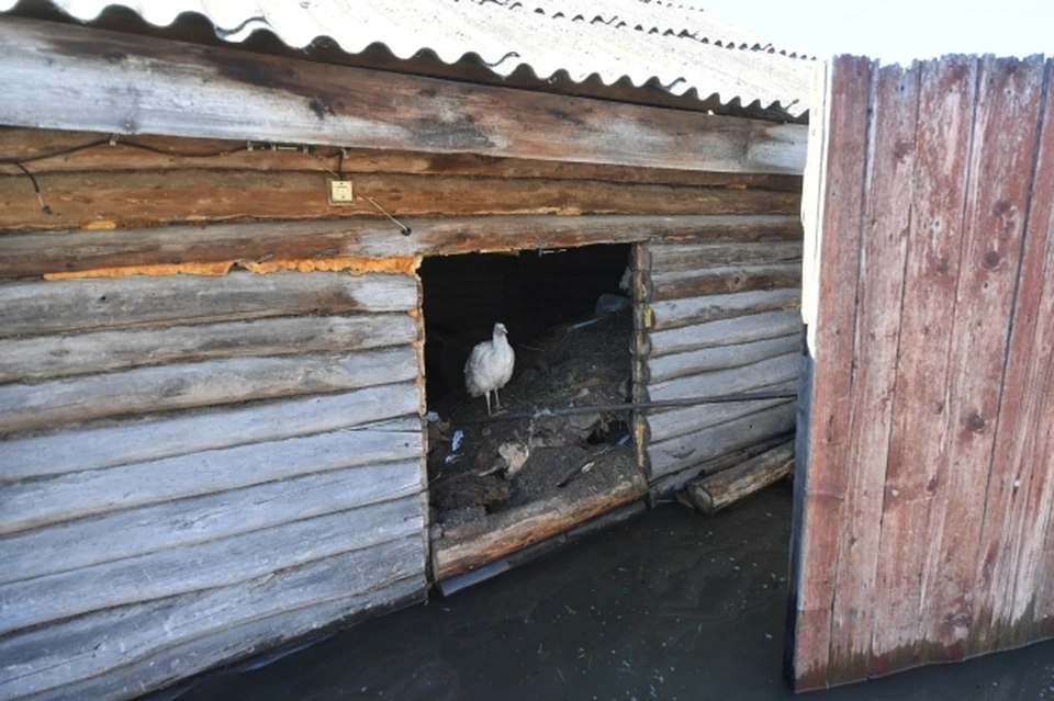 Пристрой дома обрушился из-за паводка в Нижнем Новгороде