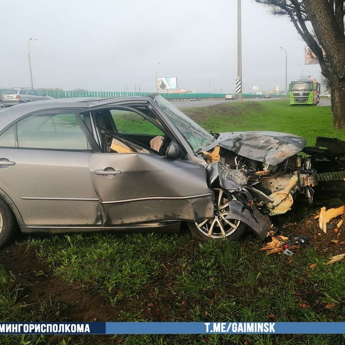 Уснул за рулем на МКАД». В Минске водитель легковушки не справился с  управлением и врезался в дерево - KP.RU