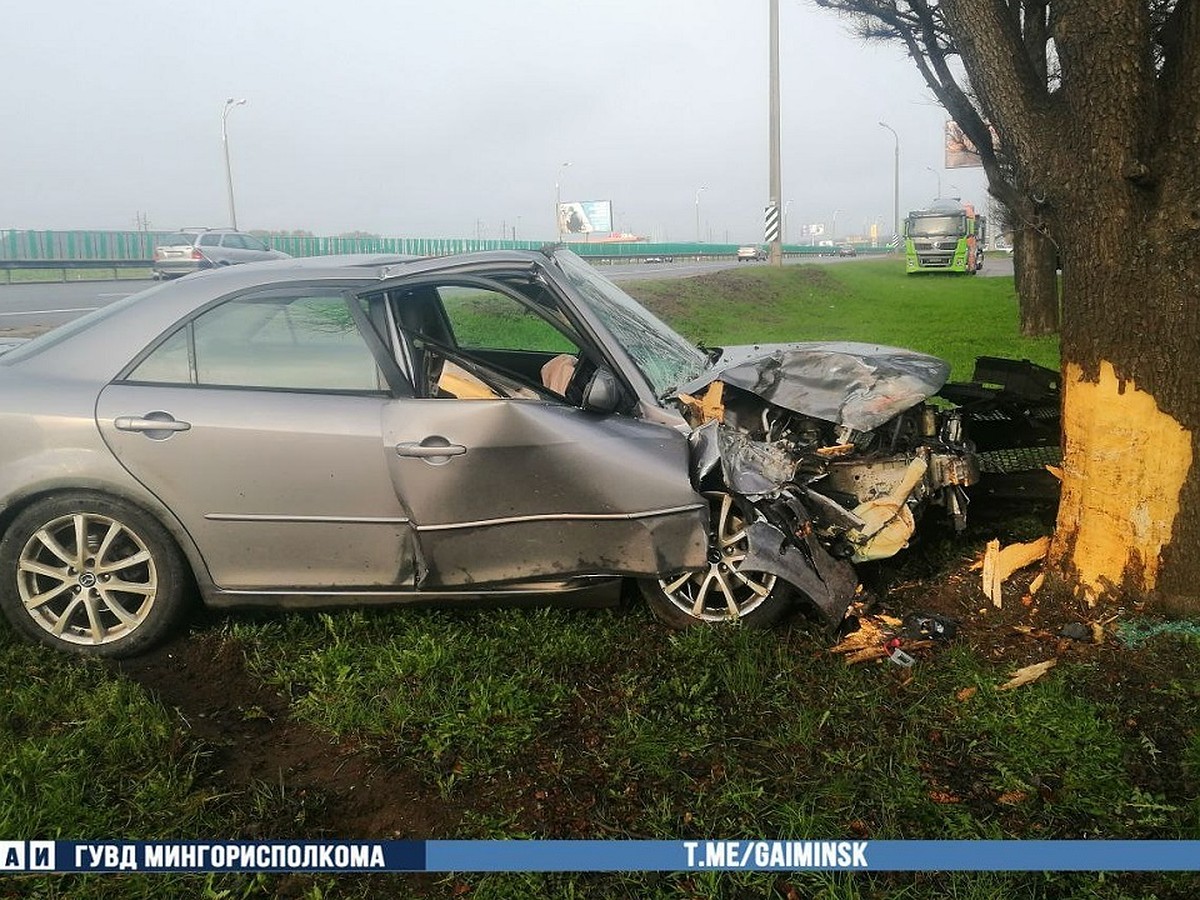 Уснул за рулем на МКАД». В Минске водитель легковушки не справился с  управлением и врезался в дерево - KP.RU