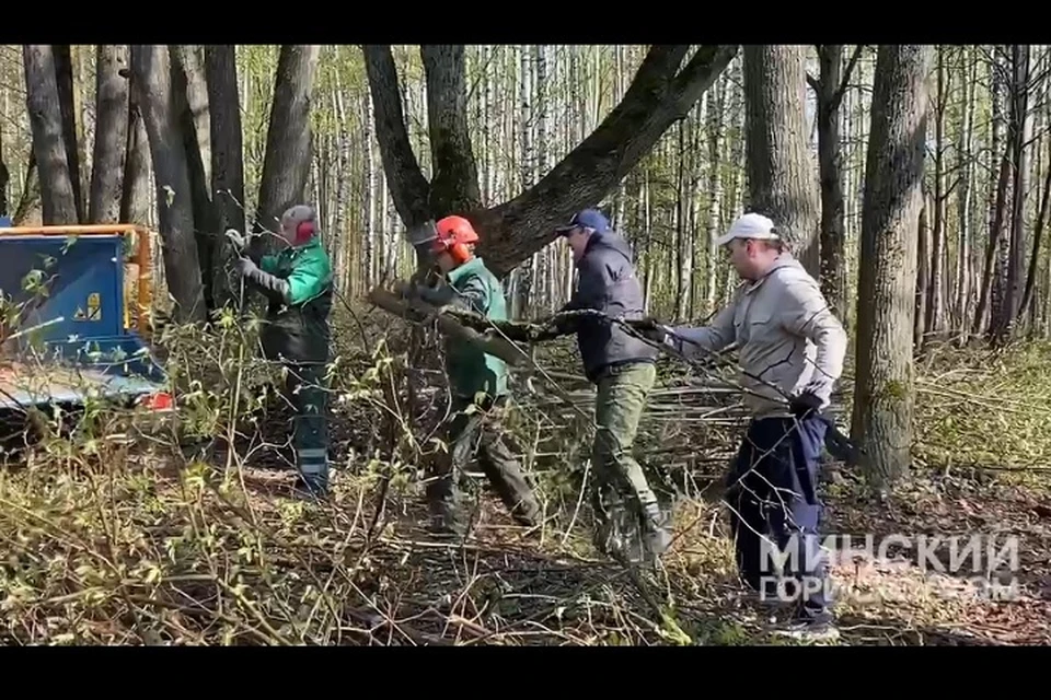 В Минске обустраивают новую парковую зону "Космос". Фото: стоп-кадр | видео Мингорисполкома.