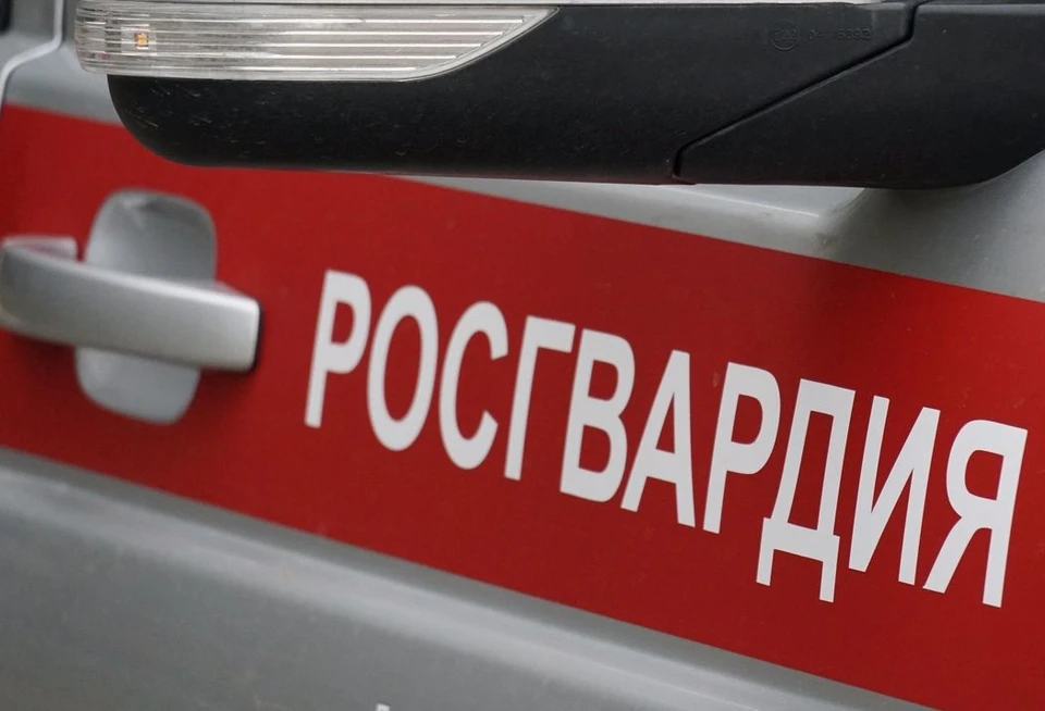 Фото: пресс-служба управления Росгвардии по Кировской области