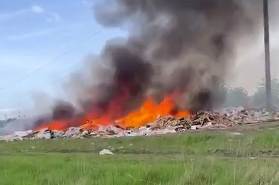 Фото: скриншот видео