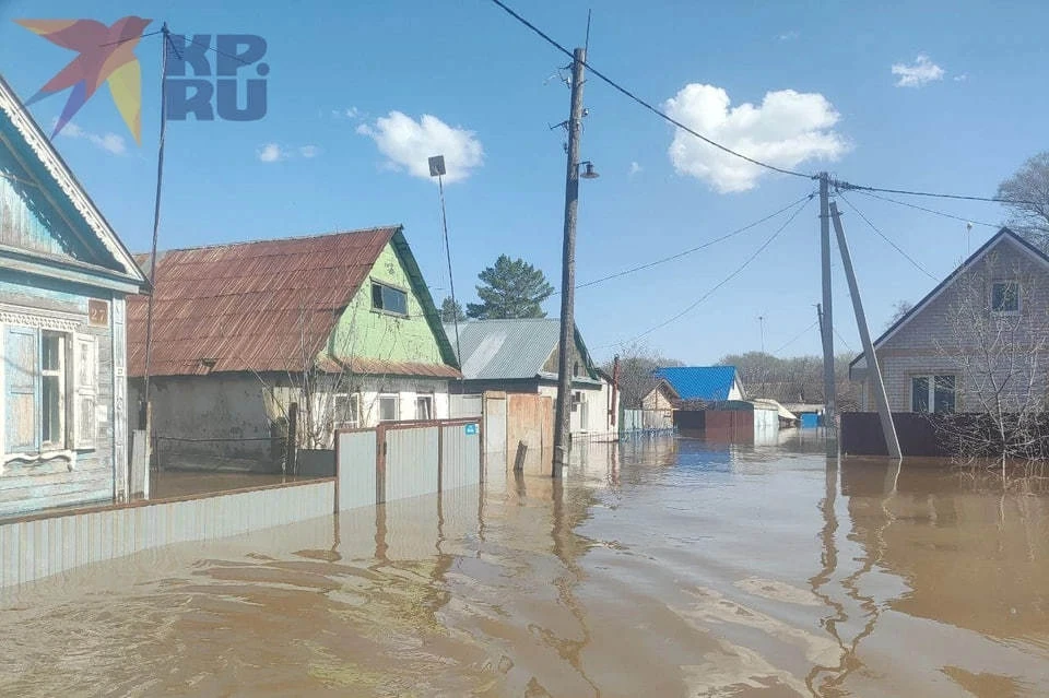 Труп уже начал разлагаться
