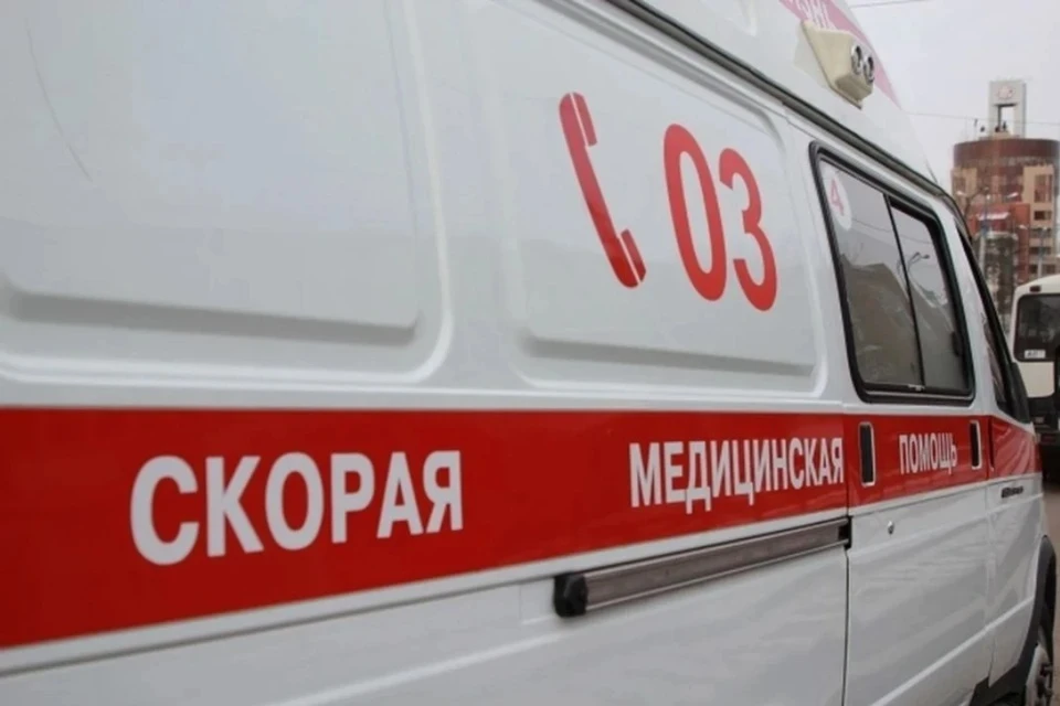 В Кировской области водитель «Москвича» сбил лося и сам же пострадал