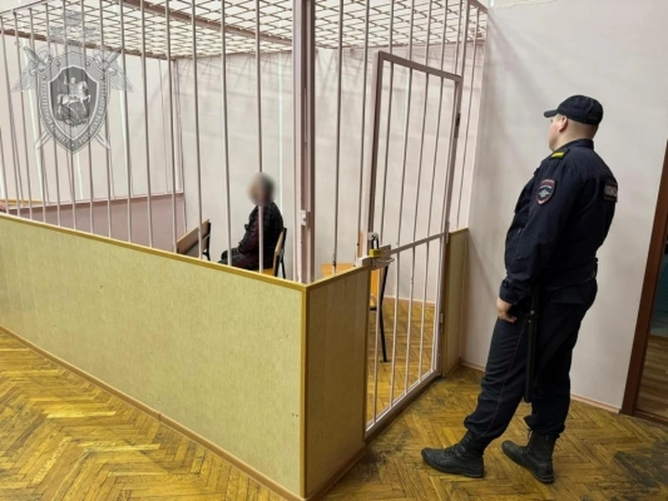 Фото: пресс-служба СУ СК России по Костромской области
