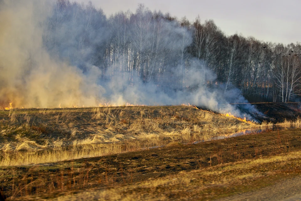 Сжигание травы проводится, чтобы предотвратить возможные ландшафтные пожары