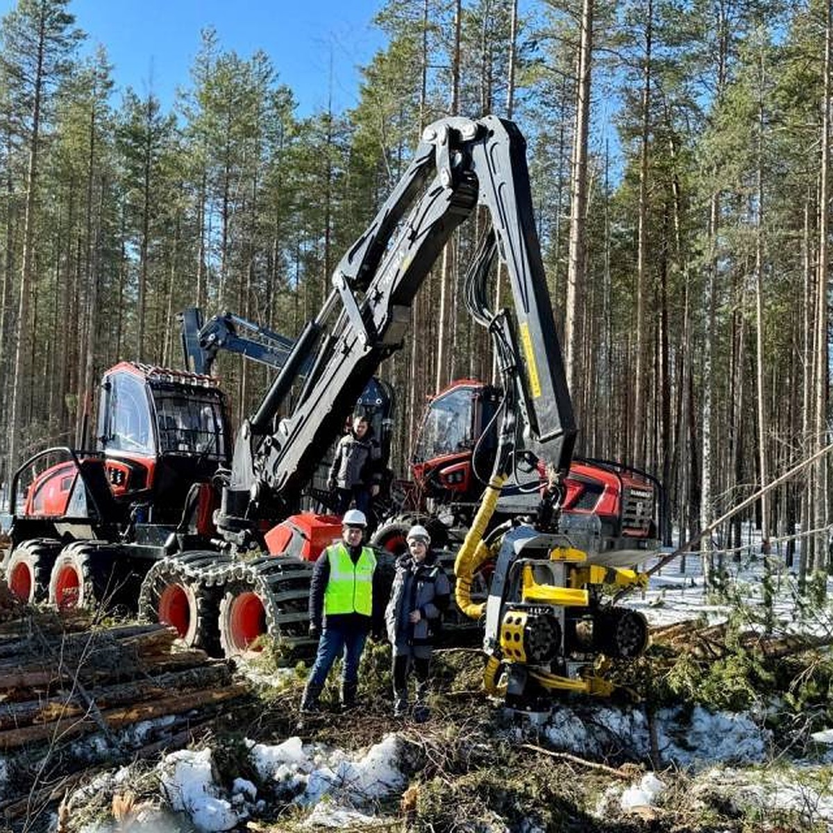 Харвестеры и форвардеры КАМАЗ проходят полевые испытания на площадке  Segezha Group в Карелии - KP.RU