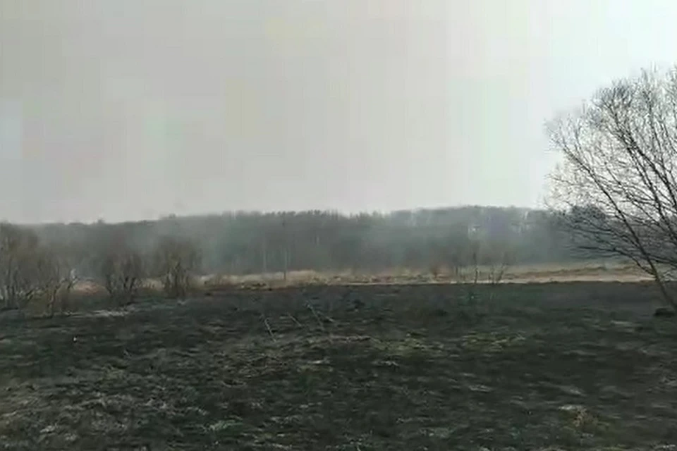 Жители села под Хабаровском винят охотников в пожарах на полях