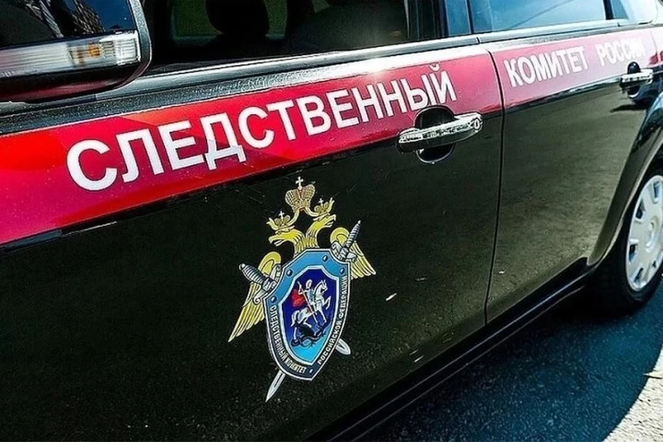 Глава СК России запросил доклад о ходе проверки после оскорбления ветерана в ДНР